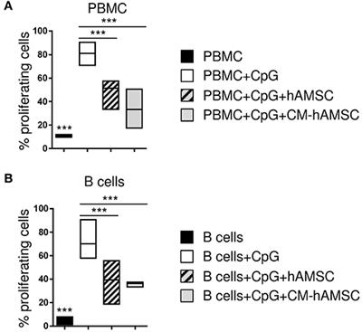 B Lymphocytes as Targets of the Immunomodulatory Properties of Human Amniotic Mesenchymal Stromal Cells